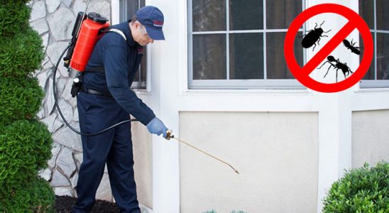 Başkale Kemirgen İlaçlama böcek ilaçlama ve haşere kontrolü — ilaclama-tr.com